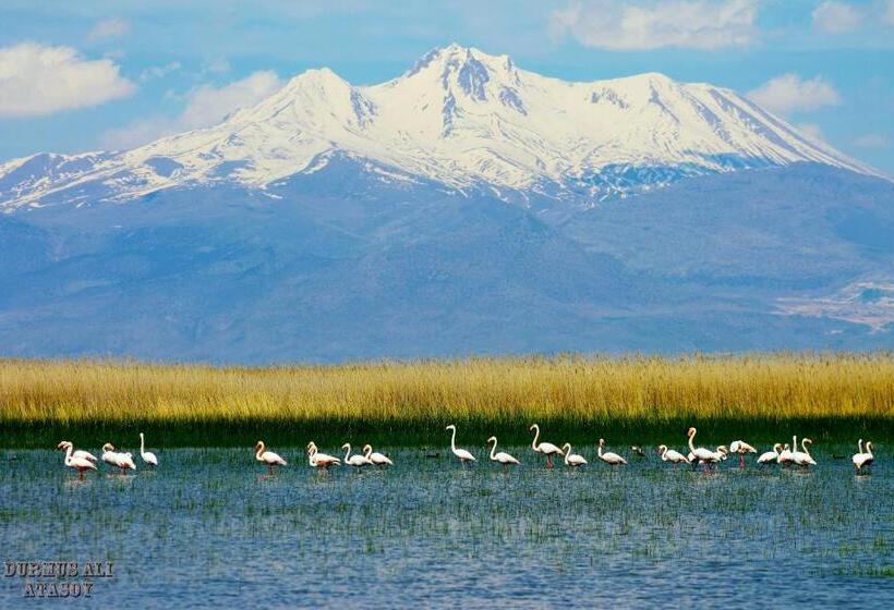 هتل Sultan Pansion Bird Paradise