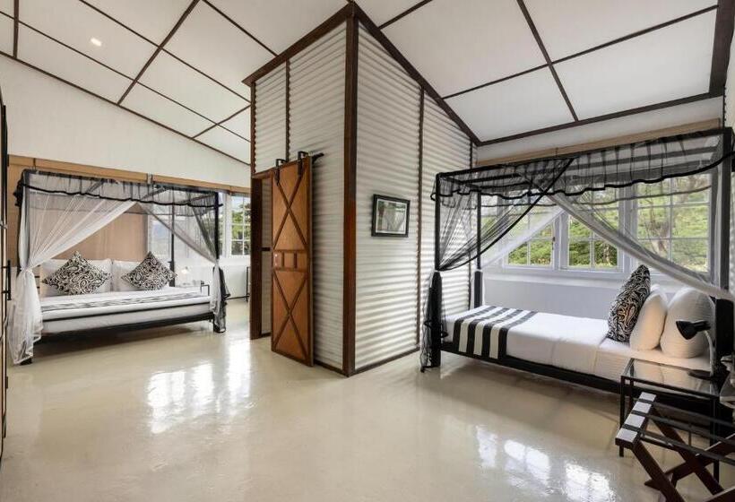 ホテル Tea And Experience Factory  Thema Collection