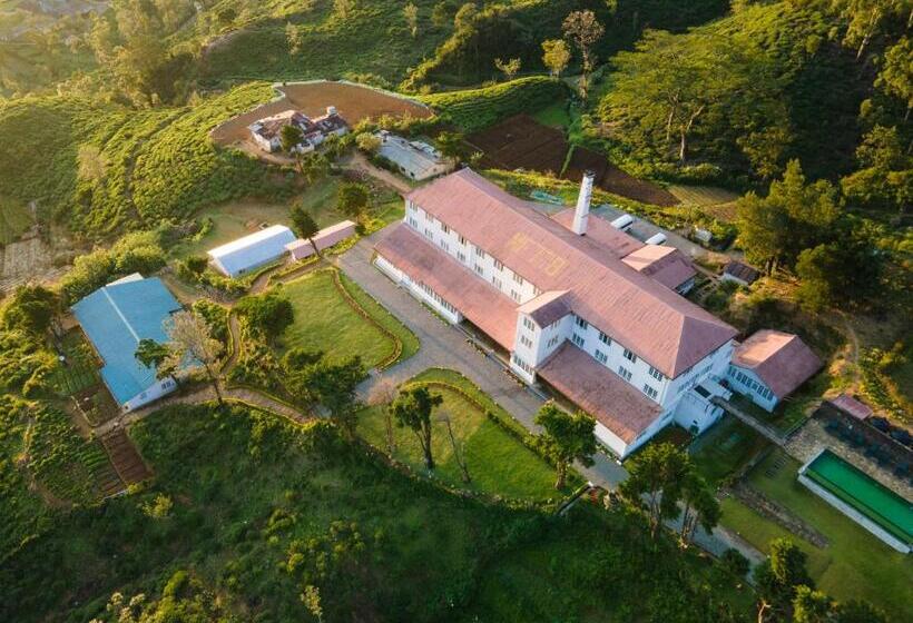 ホテル Tea And Experience Factory  Thema Collection