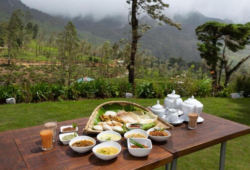 ホテル Tea And Experience Factory  Thema Collection