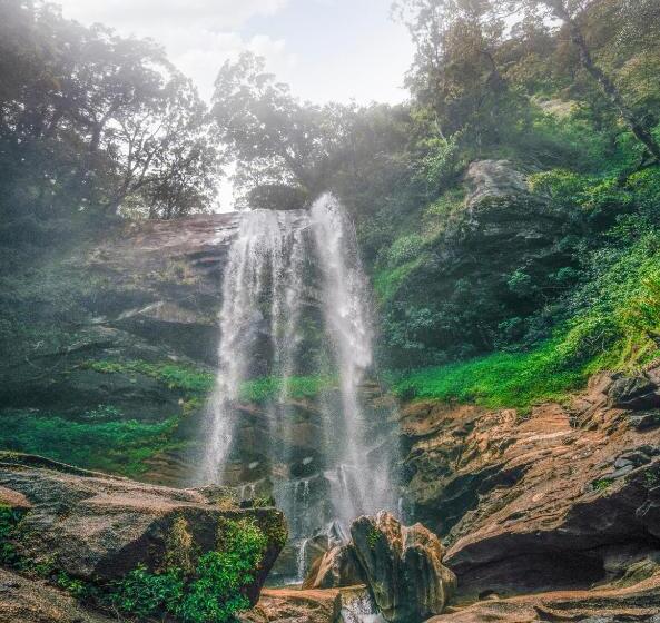 ホテル Tea And Experience Factory  Thema Collection