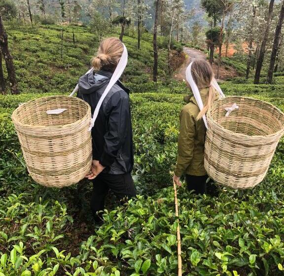 ホテル Tea And Experience Factory  Thema Collection