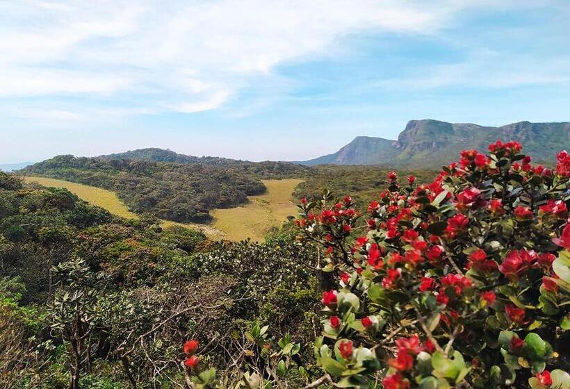 ホテル Tea And Experience Factory  Thema Collection