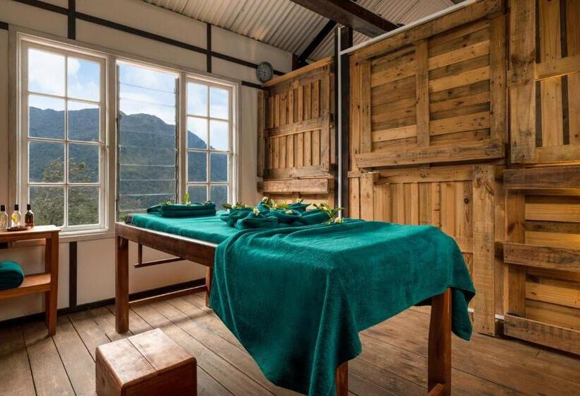 ホテル Tea And Experience Factory  Thema Collection