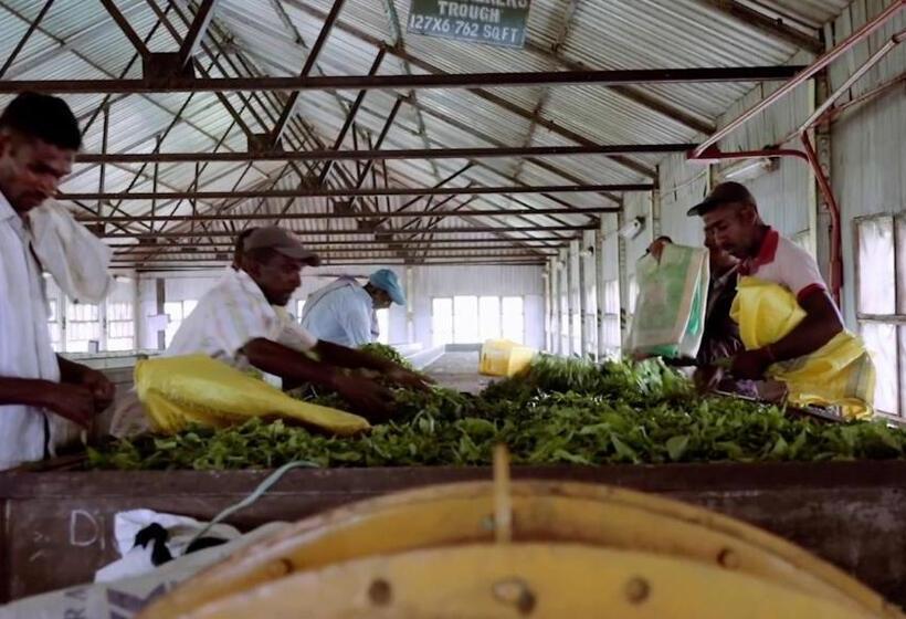 ホテル Tea And Experience Factory  Thema Collection