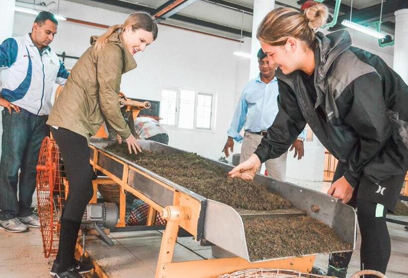 ホテル Tea And Experience Factory  Thema Collection