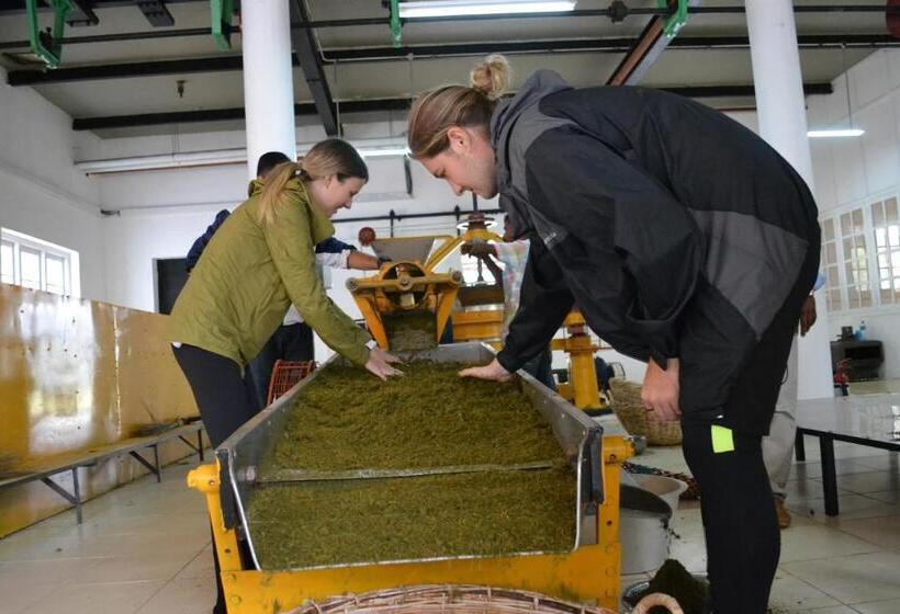 ホテル Tea And Experience Factory  Thema Collection