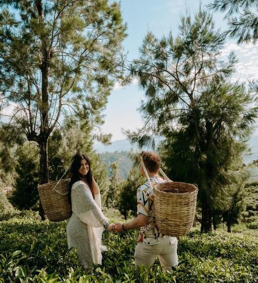 ホテル Tea And Experience Factory  Thema Collection