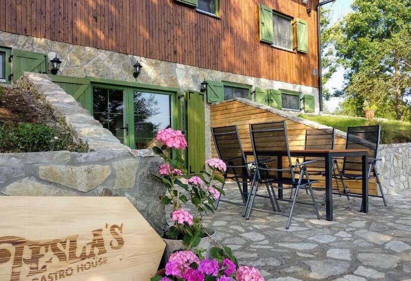 בית מלון כפרי Tesla's Gastro House Plitvice