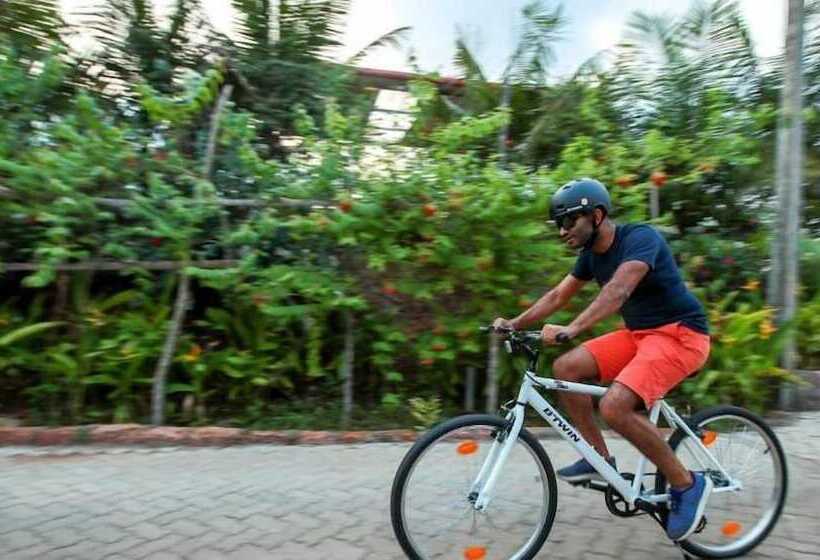 فندق The Estate Resort, Mangalore