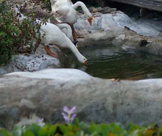 Отель The Nanda Resort