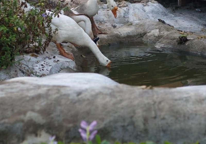 Отель The Nanda Resort