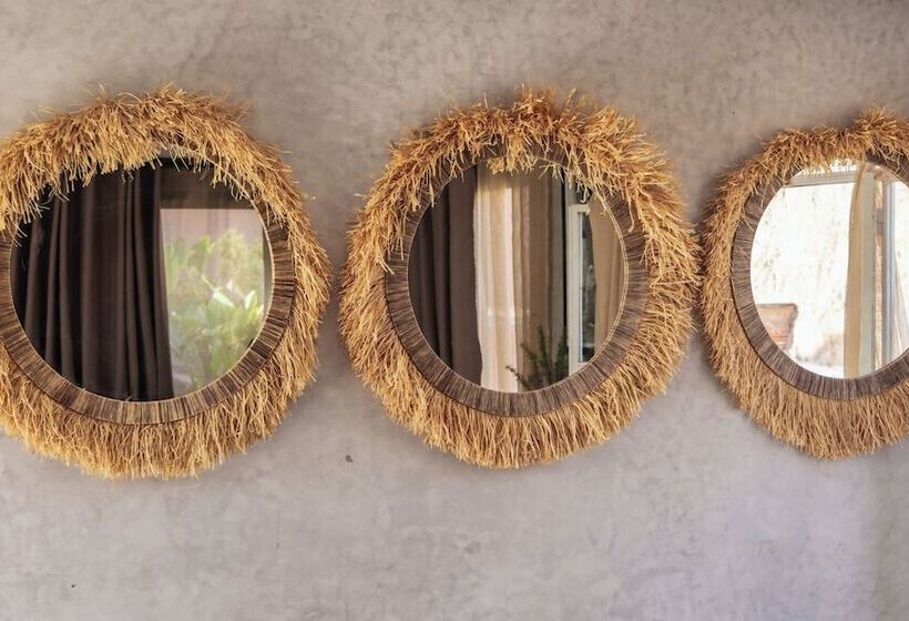 בית מלון כפרי The White Camel Lodge