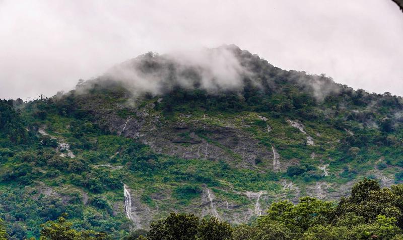 酒店 Treebo Premium Misty Garden Resorts