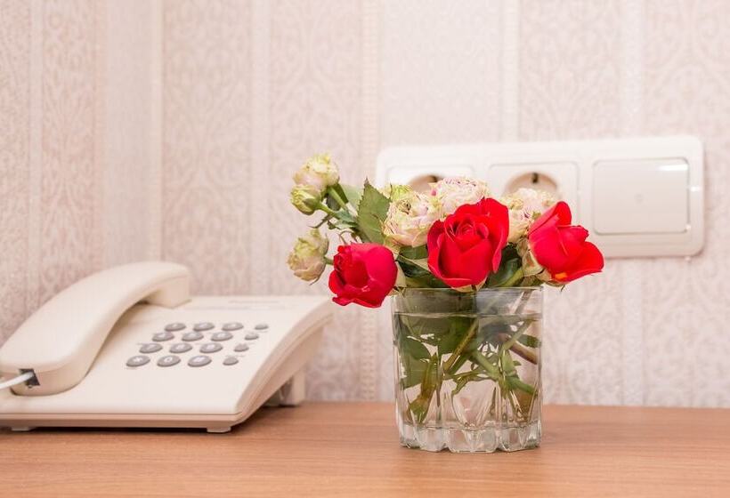 בית מלון כפרי Vetroff