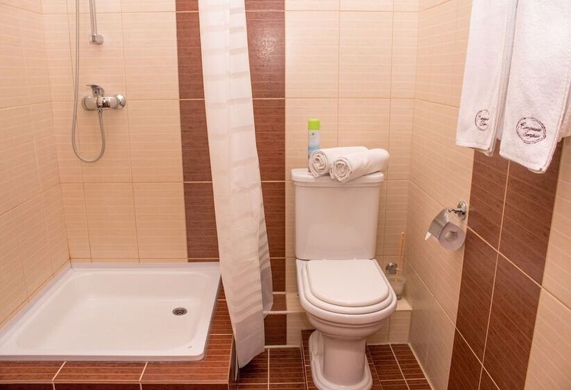 בית מלון כפרי Vetroff