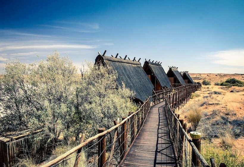 ホテル Xaus Lodge