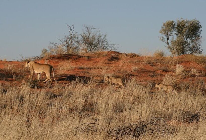 ホテル Xaus Lodge