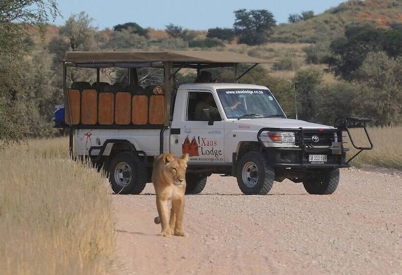 ホテル Xaus Lodge