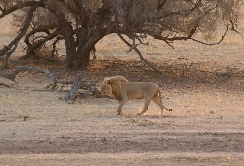 ホテル Xaus Lodge