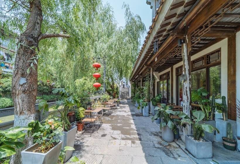 Отель Young Inn