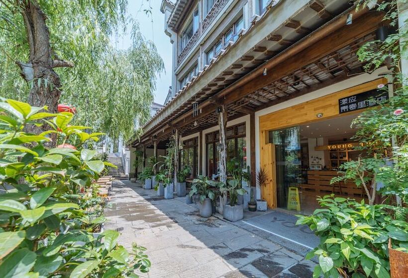 Отель Young Inn