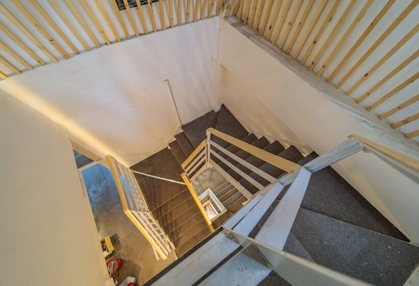 Отель Young Inn