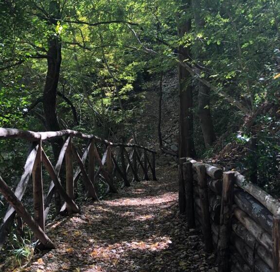 Il Minotauro B&b A 5 Minuti Da Popoli