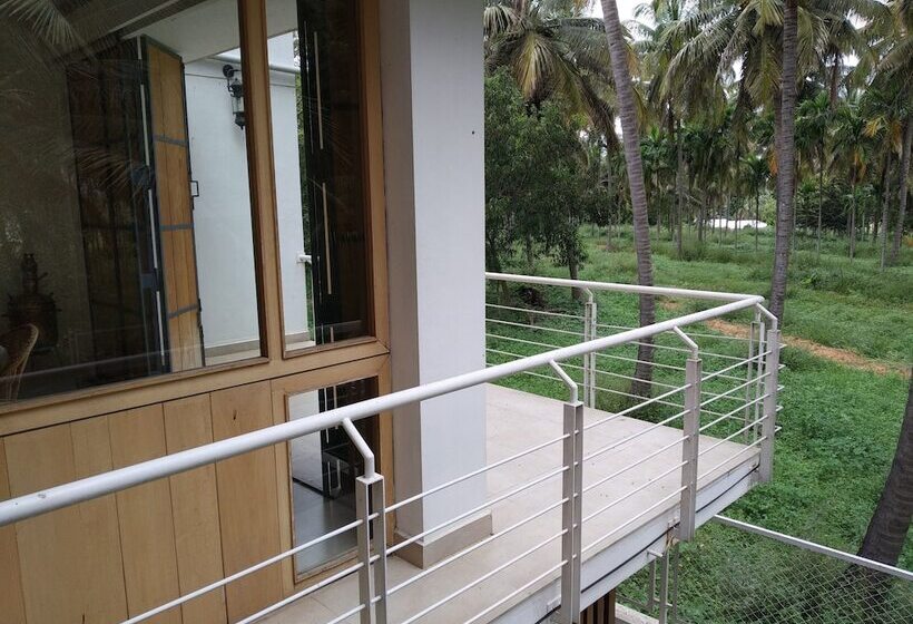 פנסיון Davey S Town House