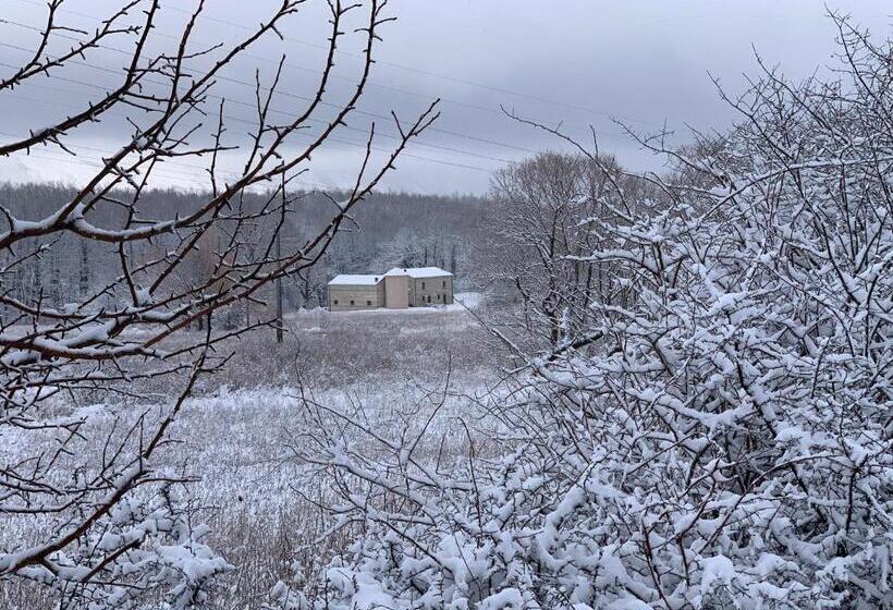 بنسيون Dimora Barbolani