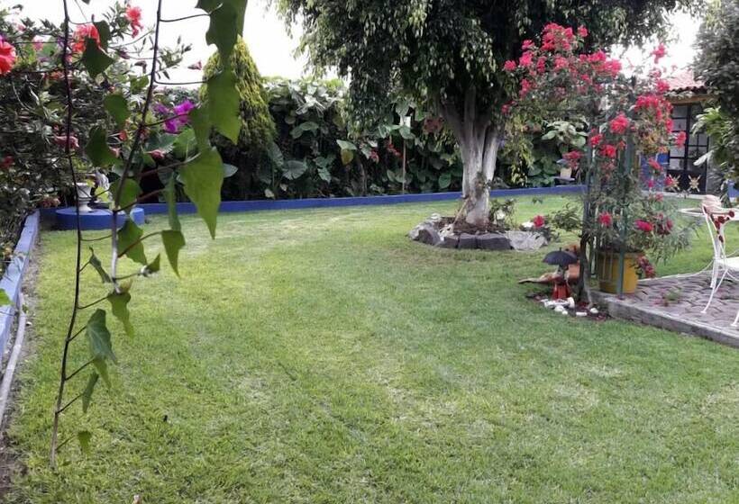 膳宿费 Finca Fabiola