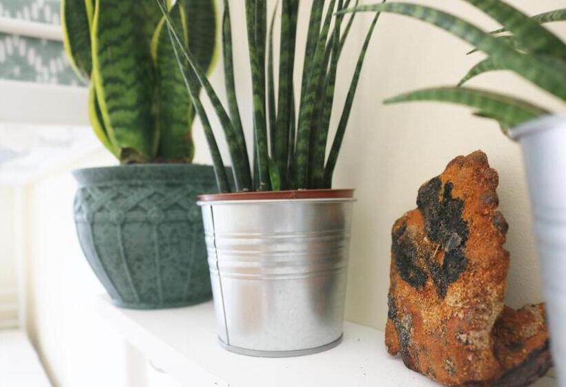 بنسيون Green Element Guesthouse