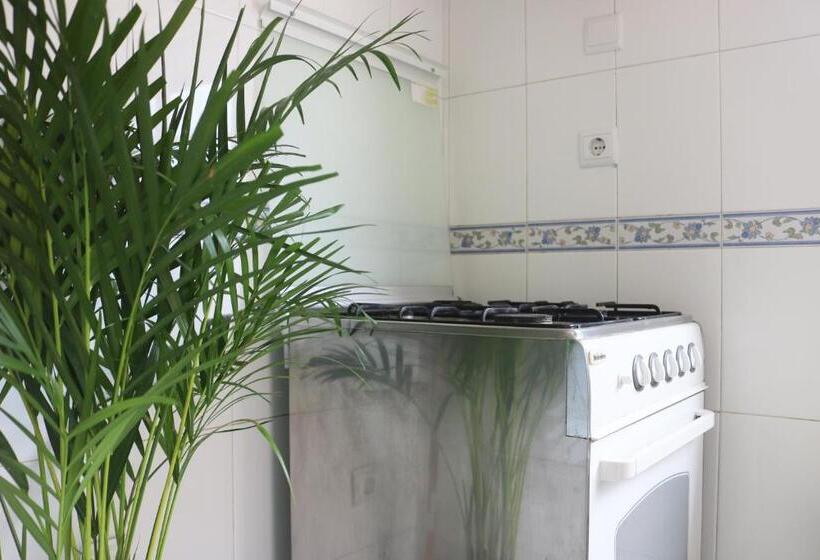 بنسيون Green Element Guesthouse