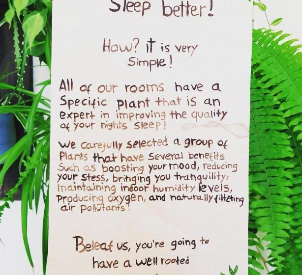 بنسيون Green Element Guesthouse