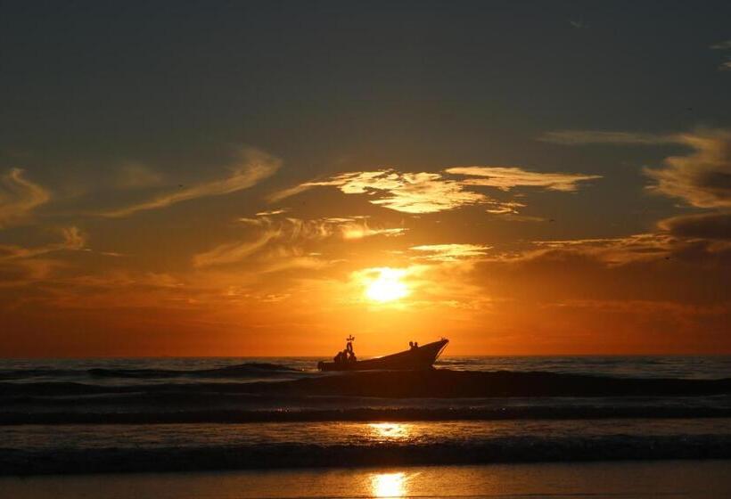 بنسيون Green Element Guesthouse