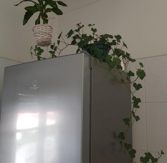 بنسيون Green Element Guesthouse