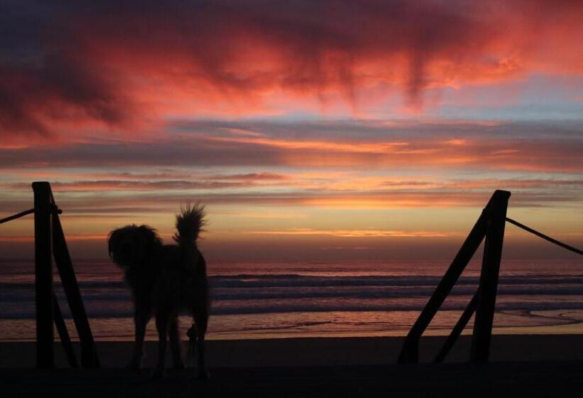 بنسيون Green Element Guesthouse