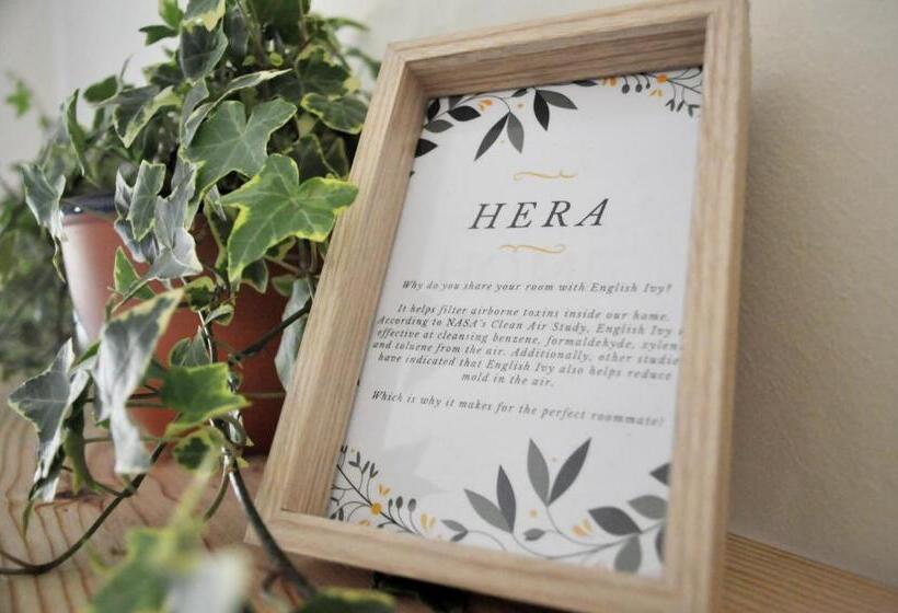 بنسيون Green Element Guesthouse