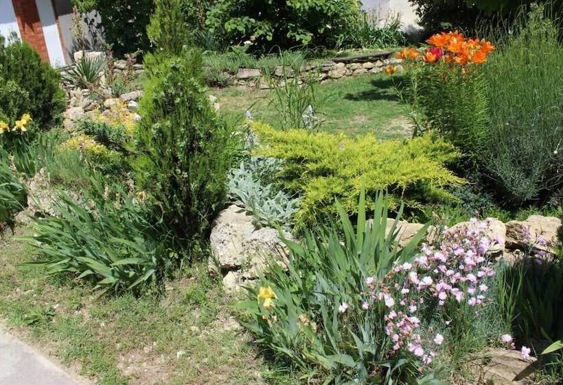 پانسیون Guest House Yuzhniy