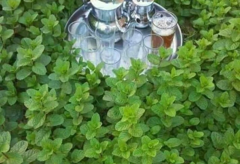 بنسيون Kasbah Des Montagnes