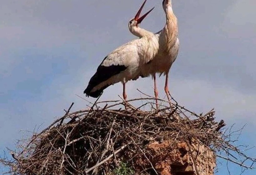بنسيون Kasbah Des Montagnes