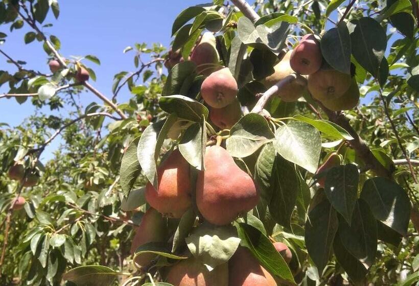 پانسیون Koom A Farm And A Retreat Center