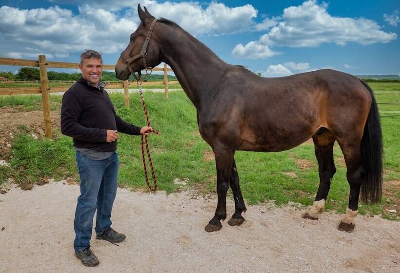 פנסיון La Maison De Souhey