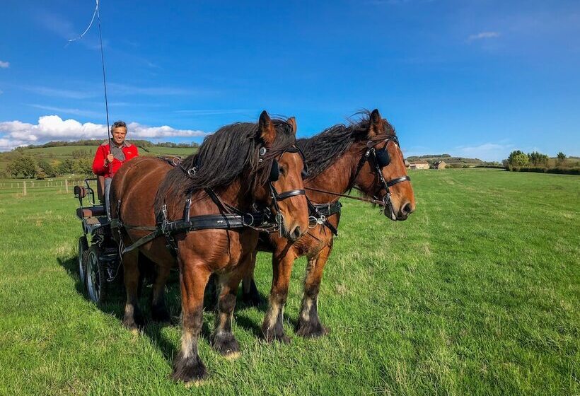 פנסיון La Maison De Souhey