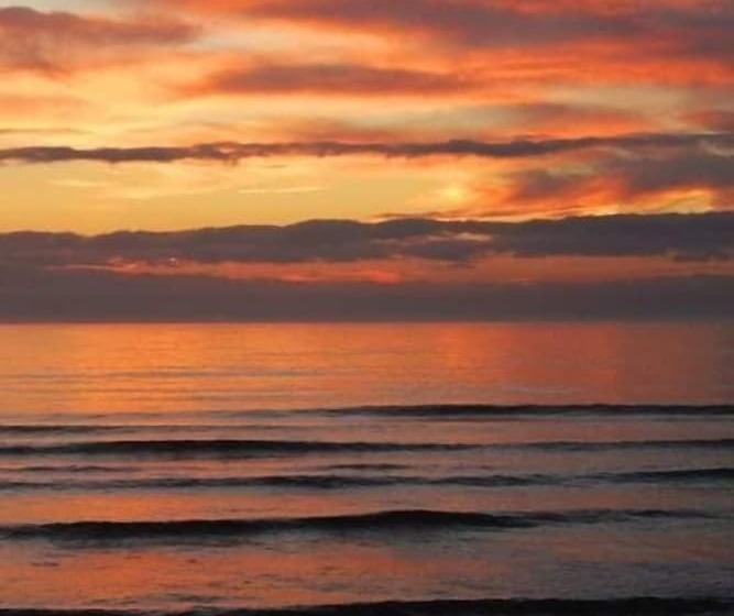 膳宿费 La Ola Beach