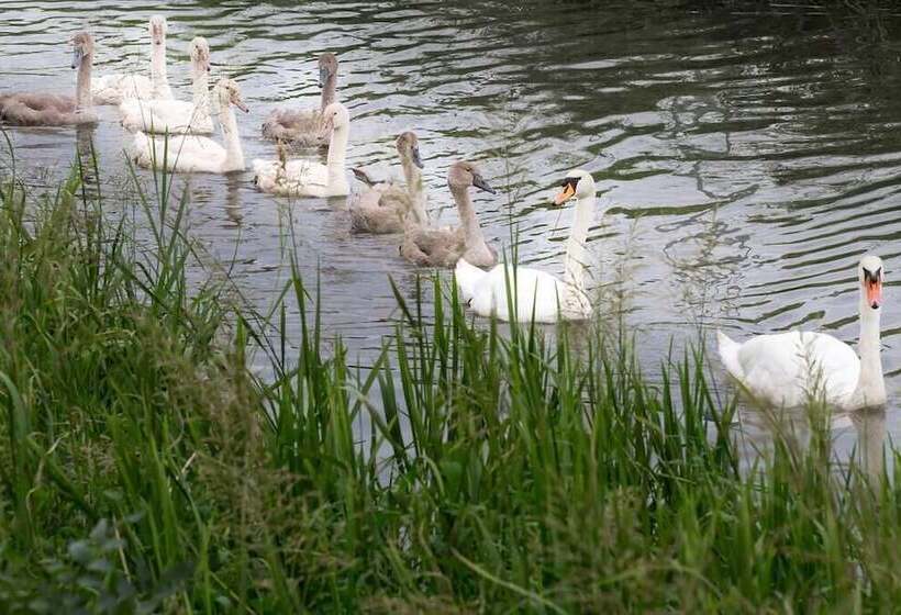 Пансион L'attrap'reves