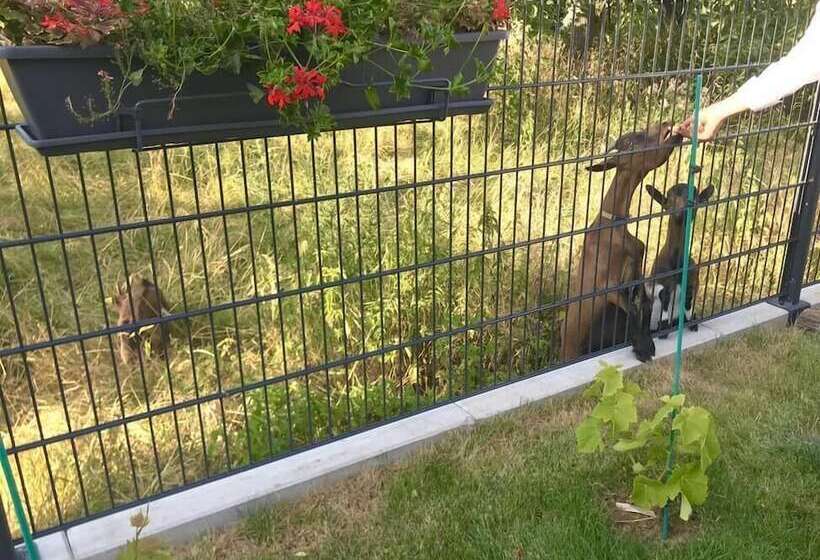 Пансион L'attrap'reves