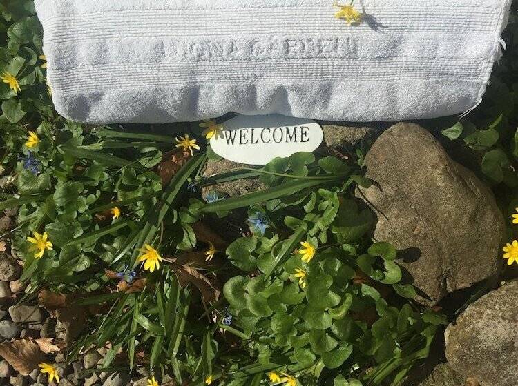 膳宿费 Lugna Gården Spa & Konferens