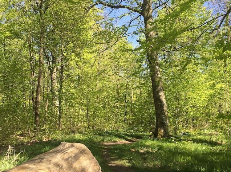 膳宿费 Lugna Gården Spa & Konferens