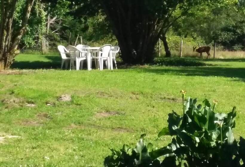 פנסיון Maison D Hôtes Labastide